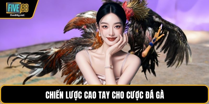 Chiến lược cao tay cho cược đá gà