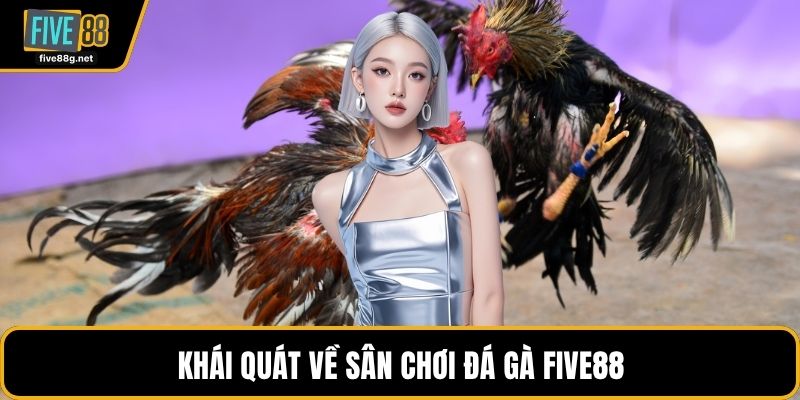 Khái quát về sân chơi đá gà FIVE88