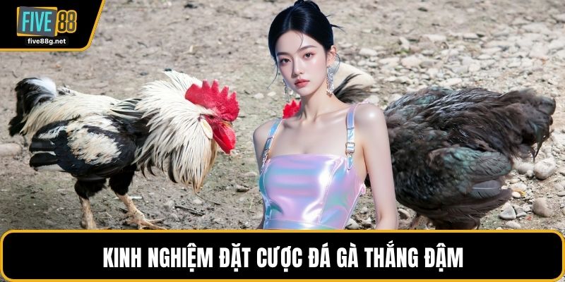 Kinh nghiệm đặt cược đá gà thắng đậm