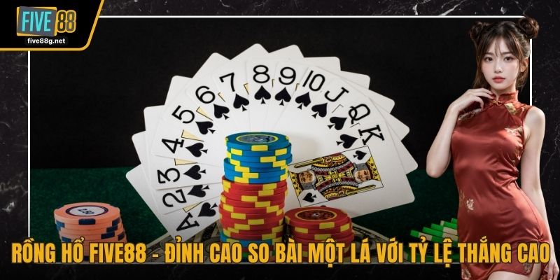 Rồng hổ FIVE88