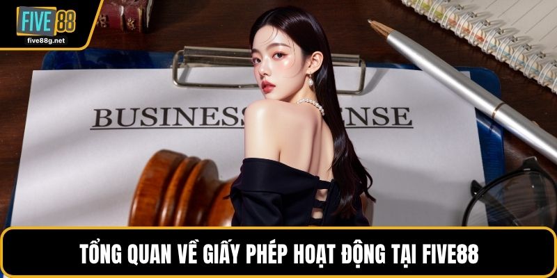 Tổng quan về giấy phép hoạt động tại FIVE88
